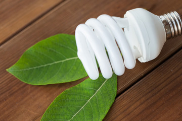 close up of energy saving lightbulb and green leaf