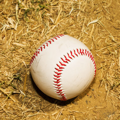 Baseball in the dirt