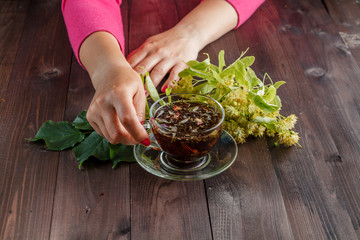 Linden tree flowers used for tea from sore throat