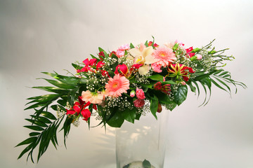 Floristic composition