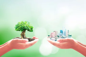 Cercles muraux construction de la ville Concept de la journée mondiale de l& 39 environnement : Deux mains d& 39 entrepreneur tenant en forme de cœur d& 39 un grand arbre et d& 39 une ville sur fond de nature verte floue