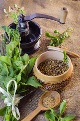 leaves and coriander seeds