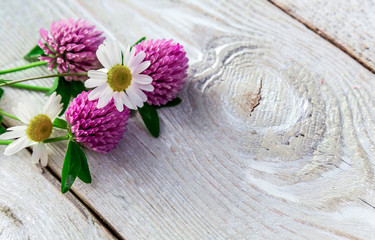 Obraz na płótnie Canvas pink clover and daisies on a wooden background