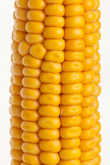 Ear of Corn isolated on a white background