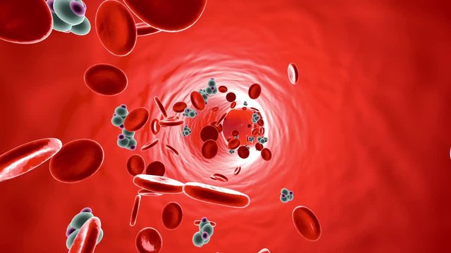 Animation of Glucose Molecules in a Bloodstream.
