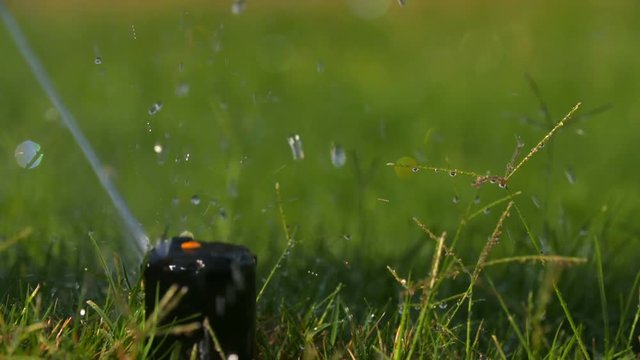 Water Sprinkler Pop Up Slow Motion. a slow motion shot of an irrigation system sprinkler starting and popping up out of the ground to water the grass
