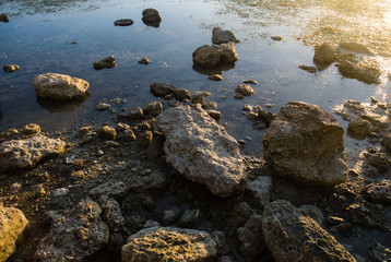 sunset is reflected on a rock pool at low tide 