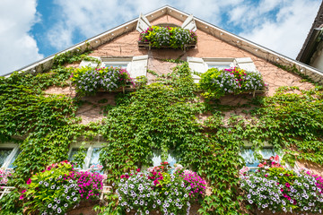 Fototapeta na wymiar Haus mit Blumen und Pflanzen bewachsen