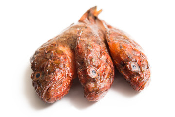 Tre scorfani freschi su fondo bianco