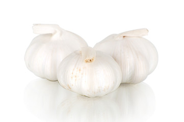 garlic isolated on a white