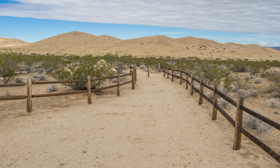Fototapeta na wymiar Kelso sand dunes in the Mojave National Preserve