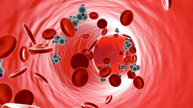 Animation of Glucose Molecules in a Bloodstream.
