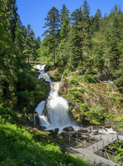 Fototapeta premium Triberger Wasserfälle im Sommer - untere 4 der 7 Hauptstufen 