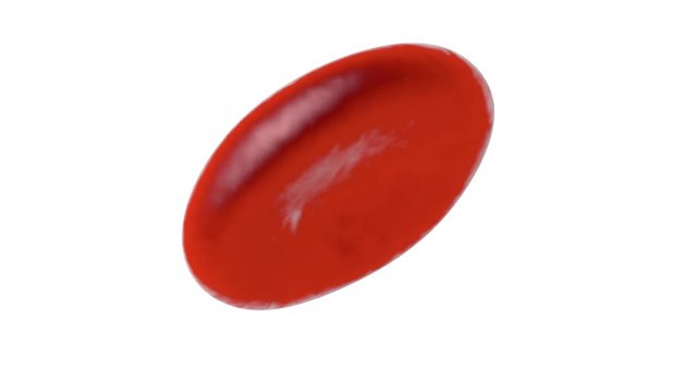 A spinning Erythrocyte cell on a white background.
