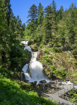 Fototapeta Triberger Wasserfälle im Sommer - untere 4 der 7 Hauptstufen 