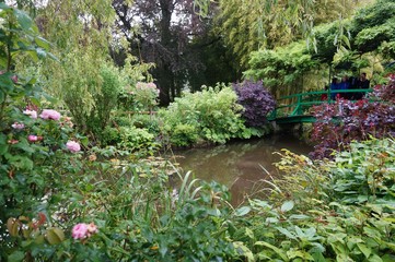 Waterlily flowers in the Nymphea Pond in Giverny