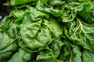 Fototapeta na wymiar Closeup Organic Spinach