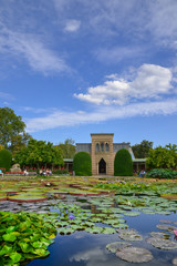 Seerosenteich in der Wilhelma