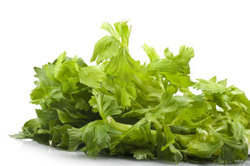 Bunch of celery close up on the white