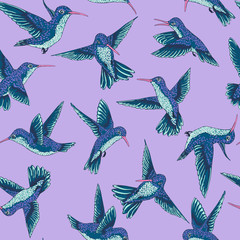 vector seamless flying little birds of paradise conversational pattern, spring summer time, gentle romantic humming-bird, colibri background allover print design