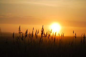 Sunrise in the morning,sunrise in the field. Romania