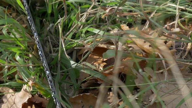 Chainsaw in the grass close-up 4K 2160p UHD footage - After work chainsaw laying in the grass 4K 3840X2160 UHD video 