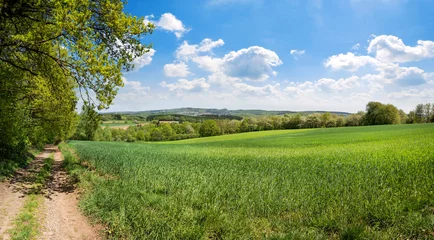 Selbstklebende Fototapete Sommer Saarland – Wanderweg Landschaft Natur Panorama bei Ottweiler 