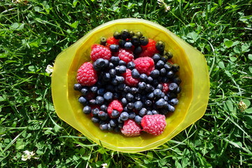 Trendy healthy seasonal food. Raspberries and blueberries mixed in bowl on green grass background. Overhead view. 