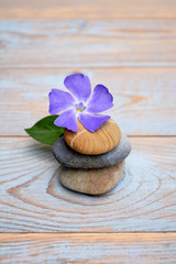 Obraz na płótnie Canvas Three cairn natural Zen stones piled up on a old brown gray wooden background with purple flower and empty copy space