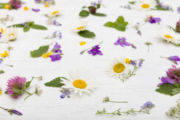 Fototapeta na wymiar Side view on beautiful wild flowers on the white wooden background. Daisy, bellflowers, clover, forget me not flowers. Closeup of floral pattern. Background