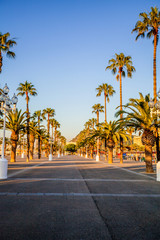 Fototapeta na wymiar Quay with palm trees near the marina at sunrise in Barcelona. Travel to Spain