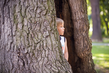Portrait of a cute kid boy in the tree cavity on a sunny day. Curious child looking out of a tree hollow while hiding in the park. Playing and exploring boy outdoors.