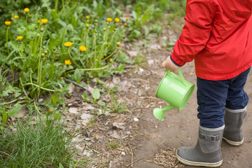 Little toddler in red jacket standing on green grass and watering dandelions from  toy watering can. Child helping in the garden. Boy with watering can in the park. Outdoors activities with children