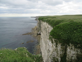 Grass and chalky coastline