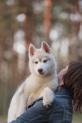 Puppy. Portrait on the tree in outdoor.