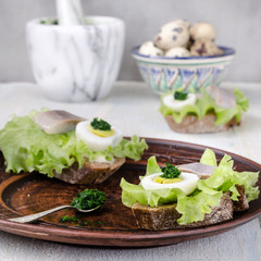 Preparation of sandwiches with herring, still life