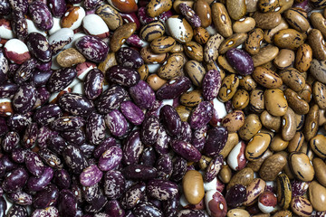 Background of raw beans close up shot