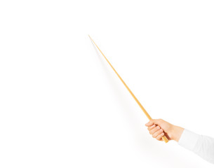 Hand holding wood classroom pointer isolated. Hand in white sleeve shirt hold school stick and...