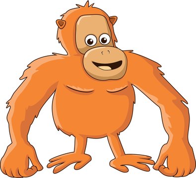 Orangutan Cartoon 