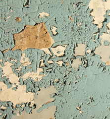 old cracked paint. / Old cracked paint blue on top of a white wall, in some places completely flown away, side lighting sunlight