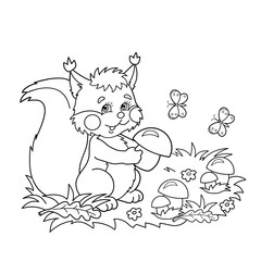 Coloring Page Outline Of cartoon squirrel with mushrooms in the meadow with butterflies. Coloring book for kids