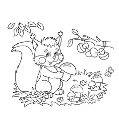 Coloring Page Outline Of cartoon squirrel with mushrooms in the meadow with butterflies. Coloring book for kids