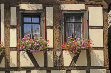 Fototapeta na wymiar Blumenfenster an einem Haus in Marktbreit