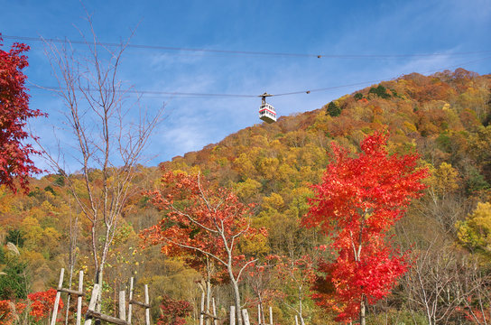Japan Alps,Shinhotaka Ropeway and Fall foliage