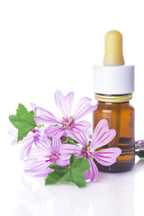 Fototapeta na wymiar Flores de malva y bote con aceites esenciales para medicinas alternativas aislado en fondo blanco