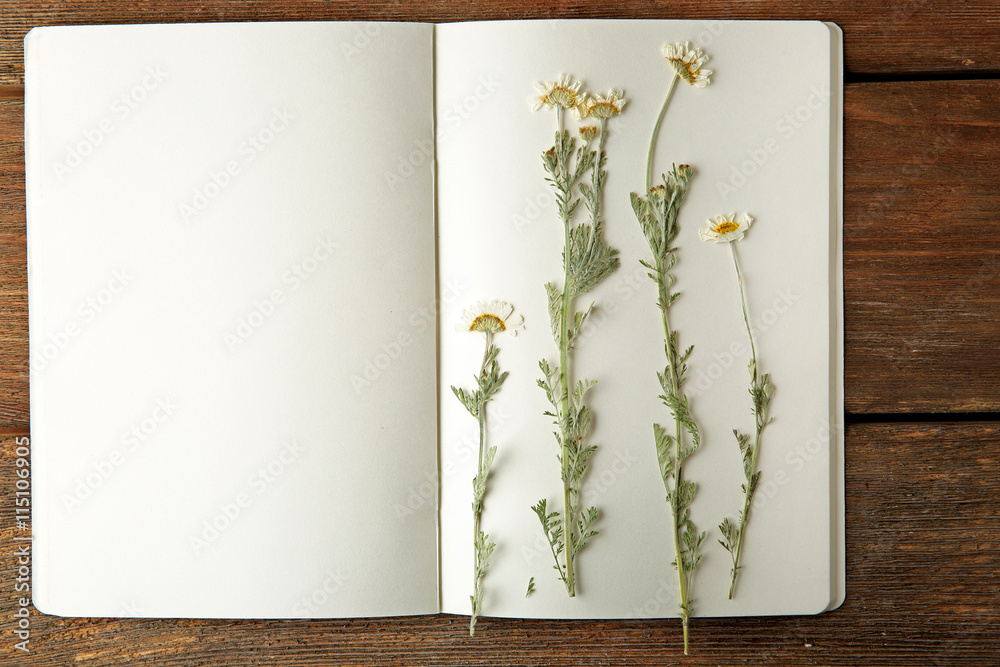 Sticker Beautiful dried blossoms in notebook on wooden background