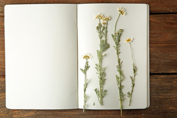 Beautiful dried blossoms in notebook on wooden background