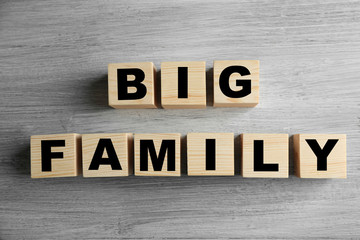 Fototapeta premium Words BIG FAMILY on light background