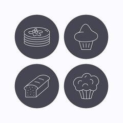 Pancakes, brioche muffin and toast bread icons.