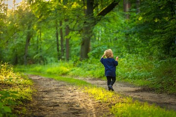 Small blonde boy playing in forest